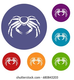 Snow crab icons set in flat circle red, blue and green color for web