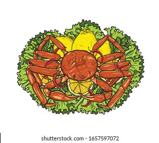 Snow Crab with lemon and vegetable on white background.Snow Crab vector art highly detailed in line art style.