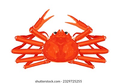 Snow crab Vector eps 10. background, perfect for wallpaper or design elements