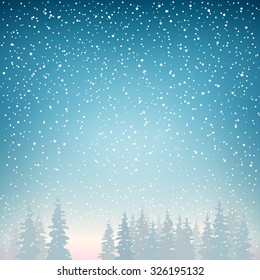 Snow Falls on the Spruce, Snowfall in the Forest, Fir Trees in Winter in Snowfall, Winter Background, Christmas Winter Landscape in Blue Shades,  Vector Illustration