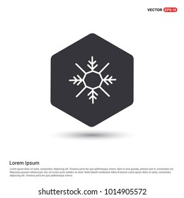Snow Flake Icon Hexa White Background icon template