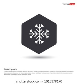 Snow Flake Icon Hexa White Background icon template