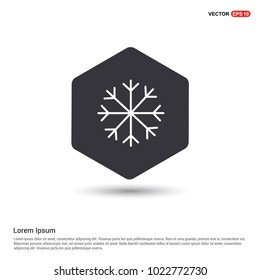 Snow Flake Icon Hexa White Background icon template