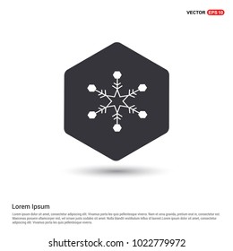 Snow Flake Icon Hexa White Background icon template