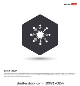 Snow Flake Icon Hexa White Background icon template