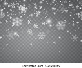 Snow flakes falling isolated on transparent background. Vector christmas snow overlay texture, white snowflakes flying in winter air.