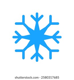 snow flakes flat icon color illustration