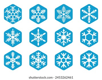 Snow flower design icon set, made with appropriate colors and various shapes. vector eps 10