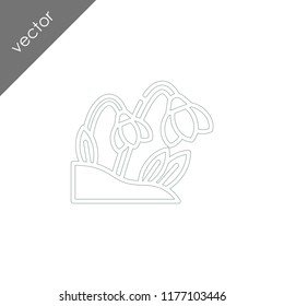 snow flowers icon