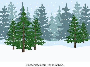 Snow forest with evergreen tress. Winter forest