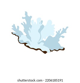 Snow fungus (Tremella fuciformis), edible and medicinal mushroom. Hand drawn botanical vector illustration