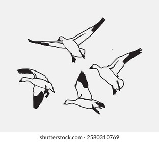 snow geese silhouette set. free vector illustration