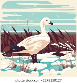 Snow goose in arctic wetlands. Arctic birds in natural habitat. Flat vector illustration concept