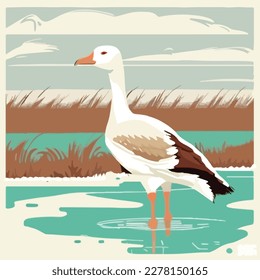 Snow goose in arctic wetlands. Arctic birds in natural habitat. Flat vector illustration concept