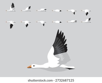 Snow Goose Flying Animation Sequence Cartoon Vector