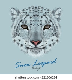 Snow leopard animal cute face. Vector Asian Irbis head portrait. Realistic fur portrait of snow wild spotted panther isolated on blue background.