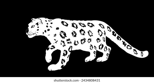 Snow leopard chasing vector illustration isolated on black background. Wild cat in hunt lurking pray. Panther symbol. Silent predator.