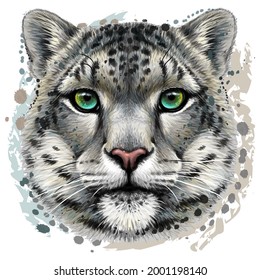 Snow leopard. Color portrait of a snow leopard in watercolor style on a white background. Digital vector graphics. 