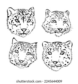 Snow leopard , hand drawn doodle, sketch in pop art style, vector illustration
