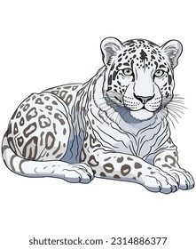Snow Leopard illustration on white background 