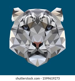 Snow leopard in Low Poly style. Illustration in gray colors on a blue background.