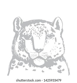 snow leopard ounce, large cat native to the mountain ranges of Asia ranging from eastern Afghanistan to Mongolia and western China. Gray sketch markers, freehand drawing isolated on white. Vector