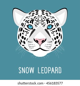Snow leopard portrait isolated on blue. Nature, wild animal theme. Leopard head for card, book, invitation, poster, banner. 