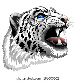 Snow Leopard Roar