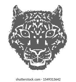 Snow Leopard Roar Face Or Head. Hand Drawn Leopard Head Animal Or Predator Isolated On White Background. Vector Illustration