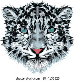 Snow leopard - vector art