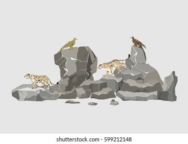 Snow leopards and eagles sitting on rocks vector illustration