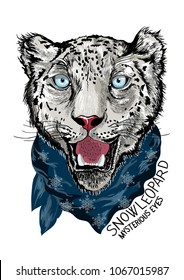 Snow leopard.Vector illustration design.t shirt printing