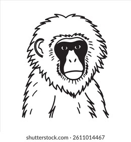 Snow Monkey – The Icon of Winter Wilderness