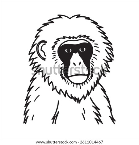 Snow Monkey – The Icon of Winter Wilderness