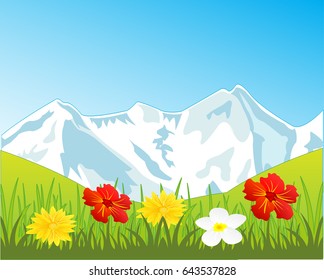 Snow mountains and glade with flower