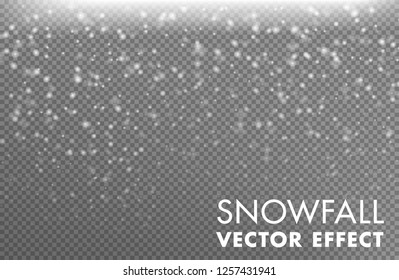 Snow on the transparent background - Vector effect