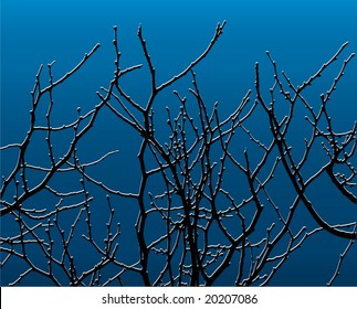snow on tree branch
