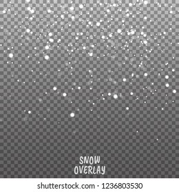 Snow overlay on transparent background. Vector illustration of falling snowflakes isolated. Vector illustration EPS10
