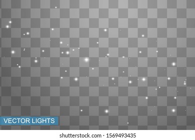 Snow overlay on transparent background. Vector illustration of falling snowflakes isolated.