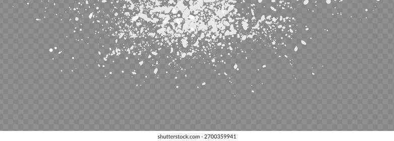Snow overlay on transparent background. Vector illustration of falling snowflakes isolated.