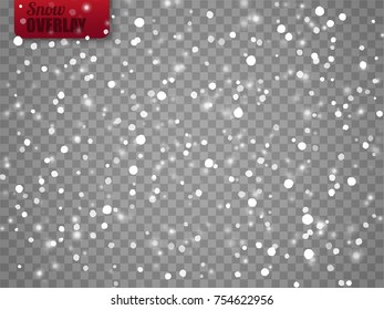 Snow overlay on transparent background. Vector illustration of falling snowflakes isolated. Vector template