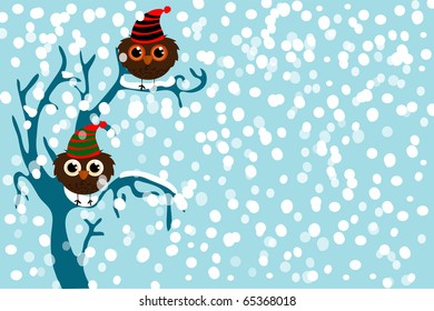 snow and owl