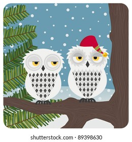 Snow owls on christmas time