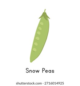 Ilustração do vetor da ervilha da neve. Clipart de Desenho Animado de Ervilha de Neve, Vegetal em Estilo Plano. Também chamado de Mangetout, Chinese Pea Pod, ou Pisum sativum var. saccharatum. Conceito de leguminosas. Design de vetor vegetal comum
