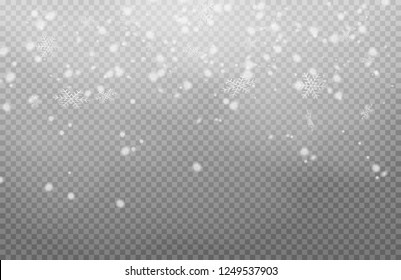 Snow with snowdrifts isolated on transparent background. White cold snow flakes falling.  Vector christmas snowfall, snowflakes flying in winter air. Vector Illustration