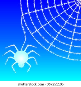 snow spider web and spider on background of blue sky