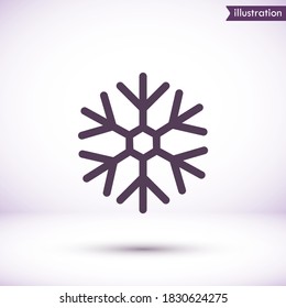 Snow vector icon , lorem ipsum Flat design