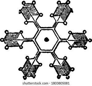 Snow Water Solidified Stellate Crystals Modified Stock Vector (Royalty ...