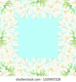 Snow White Agapanthus Border - Lily of the Nile, African Lily on Blue Mint Background. Vector Illustration. 