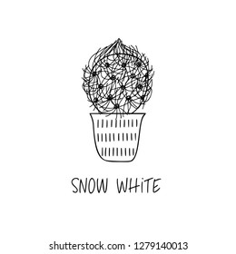 Snow White cactus in decorative pot in doodle style with a handwritten title. Vector illustration. Design elements for stamp, poster, stickers